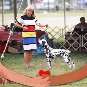 Meet your Posher, Sandra